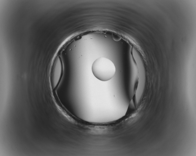 X0000085070942200703121639