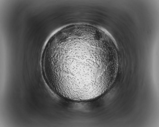 X0000085070943200703121639