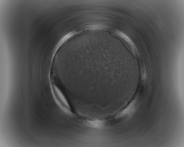 X0000085070946200703121639