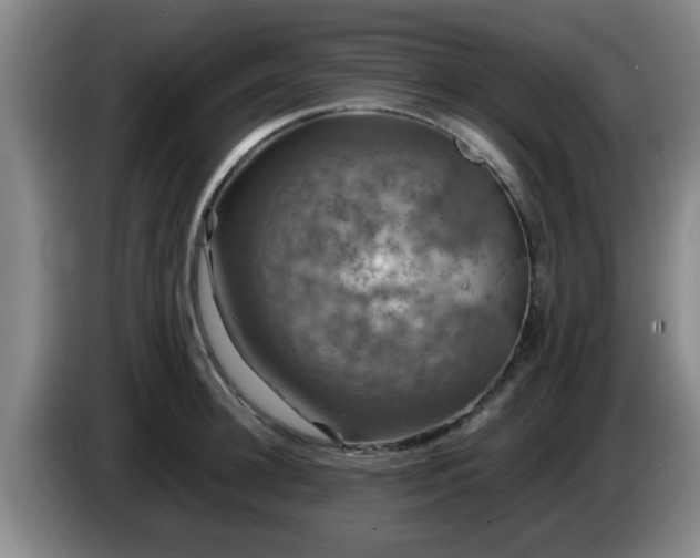 X0000085070948200703121639