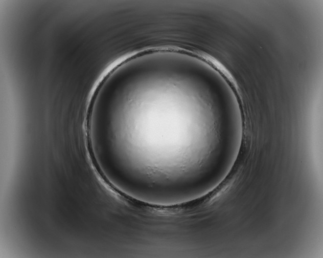 X0000085070951200703121639