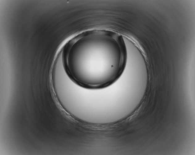 X0000085070952200703121639