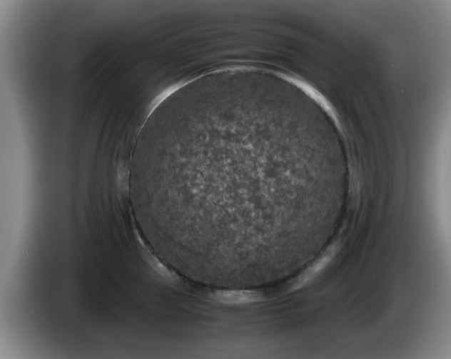 X0000085070953200703121639