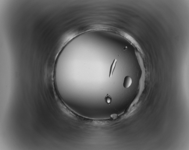 X0000085070954200703121639