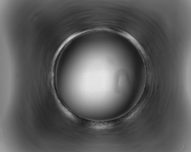 X0000085070955200703121639