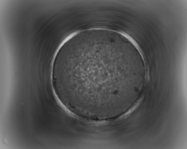 X0000085070957200703121639