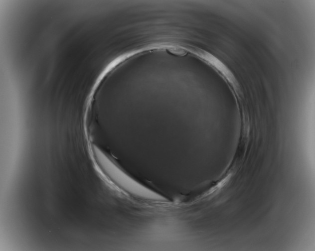 X0000085070958200703121639