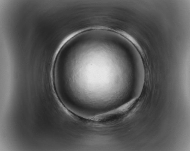 X0000085070959200703121639