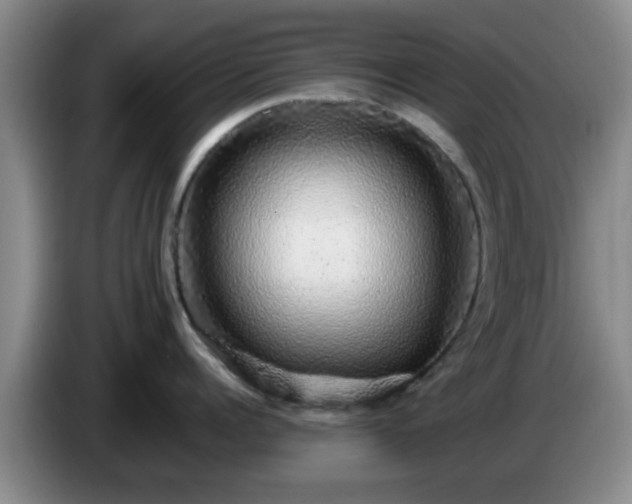 X0000085070960200703121639