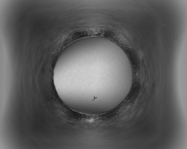 X0000085070961200703121638