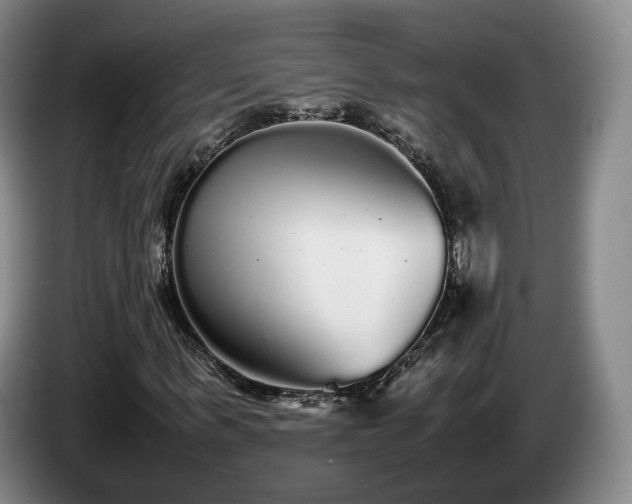 X0000085070963200703121638