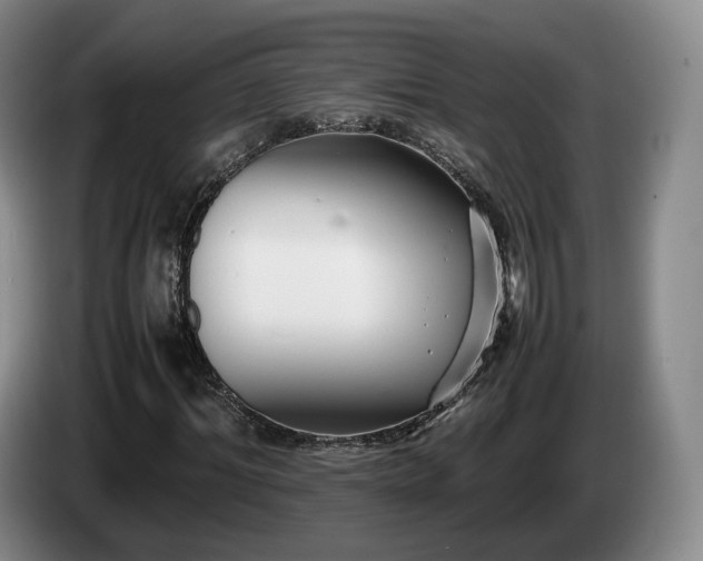 X0000085070964200703121638