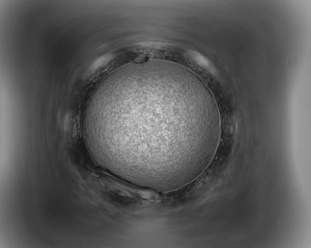 X0000085070965200703121638