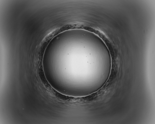 X0000085070967200703121638