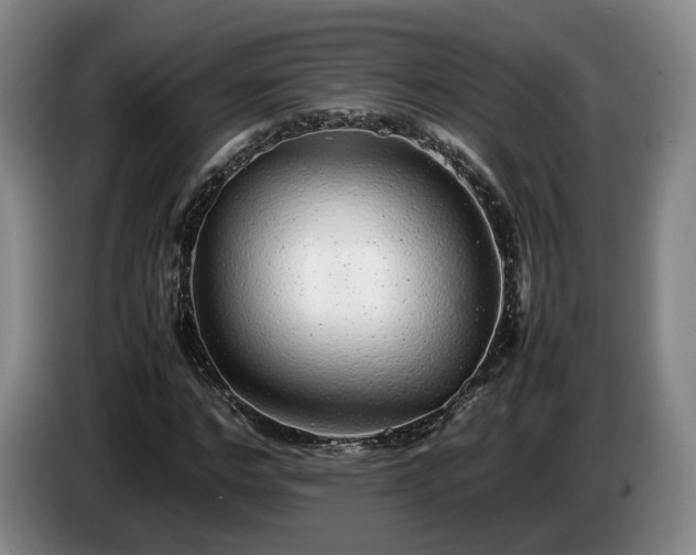 X0000085070968200703121638