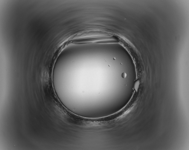 X0000085070969200703121638