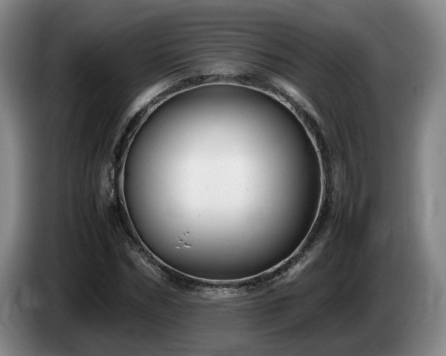 X0000085070970200703121638