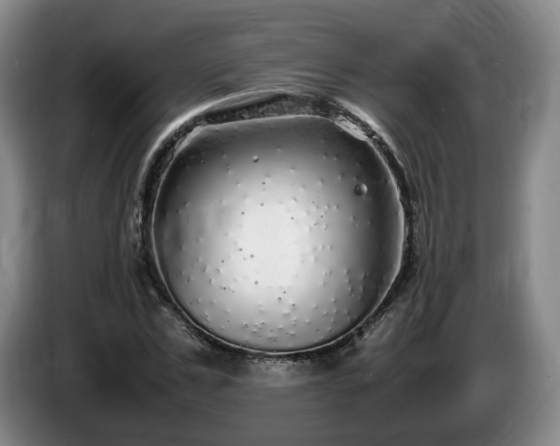 X0000085070971200703121638