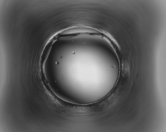 X0000085070972200703121638