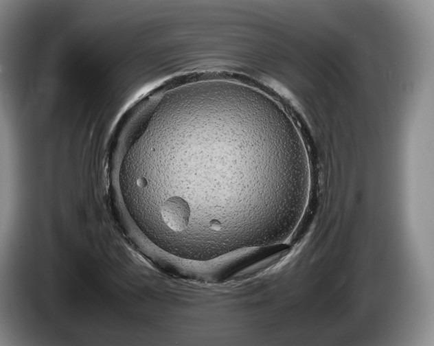 X0000085070973200703121638