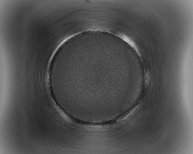 X0000085070976200703121638