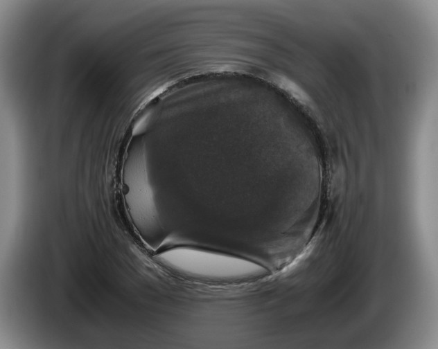 X0000085070977200703121638