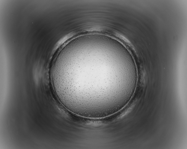 X0000085070978200703121638