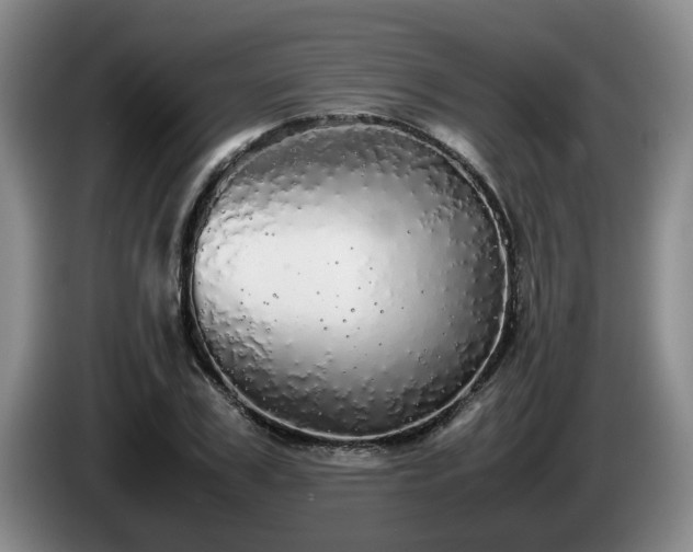 X0000085070979200703121638