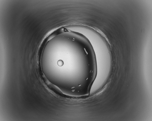 X0000085070981200703121638