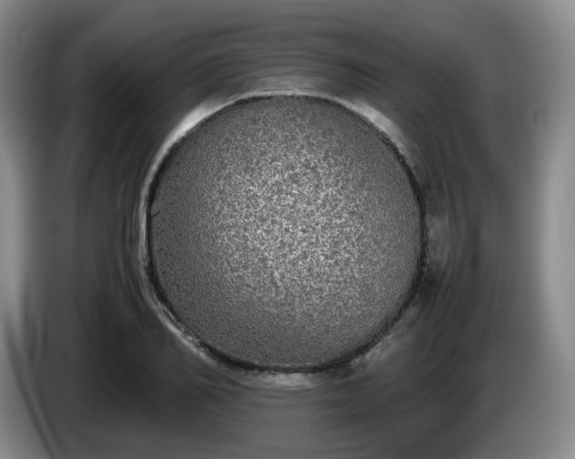 X0000085070982200703121638