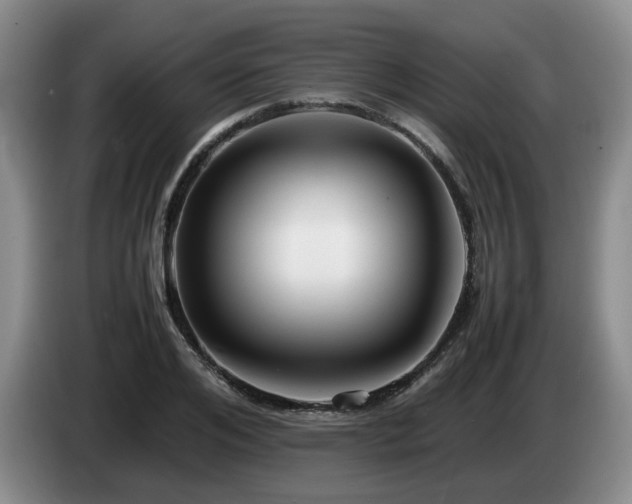 X0000085070984200703121638