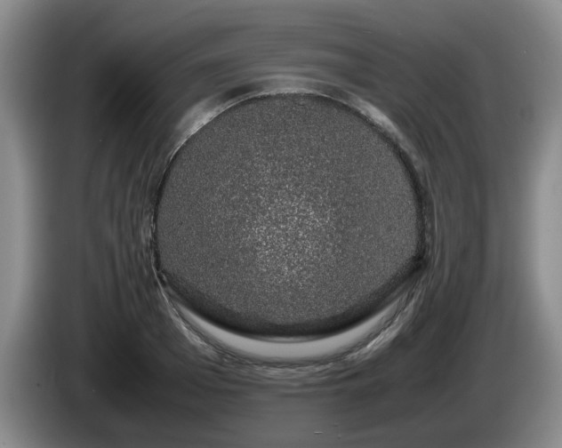 X0000085070985200703121638