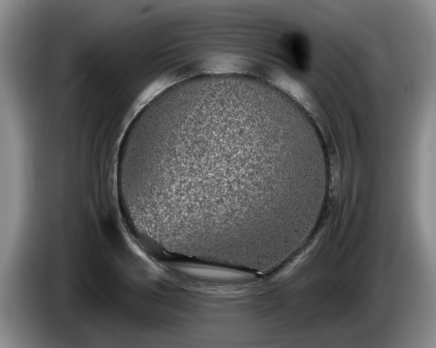 X0000085070986200703121638