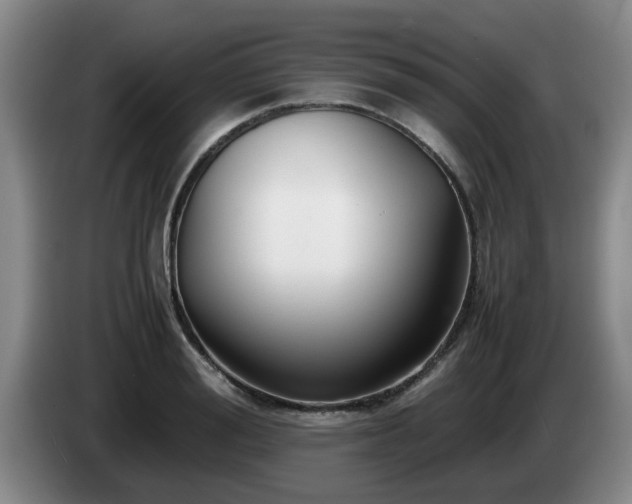 X0000085070988200703121638