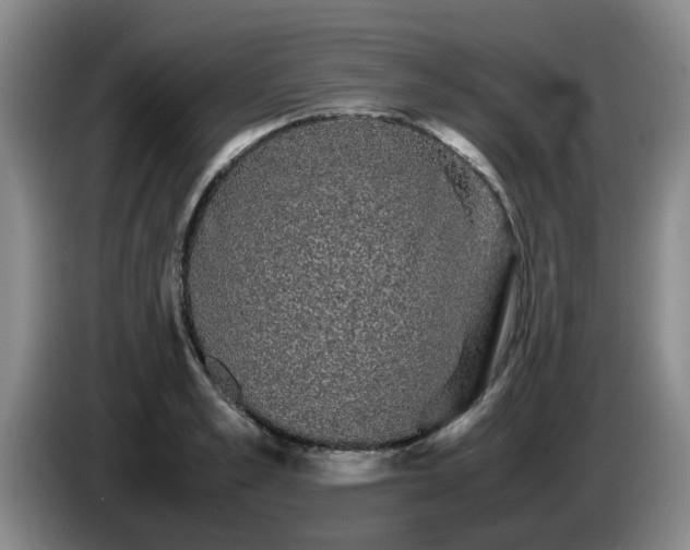 X0000085070989200703121638