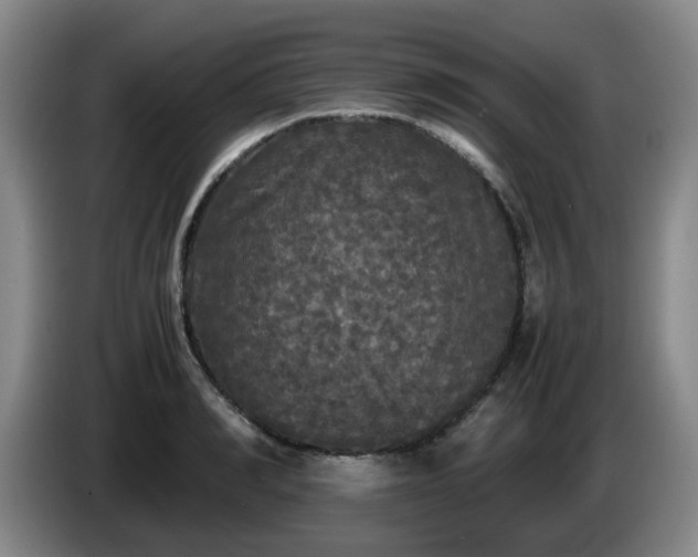 X0000085070990200703121638