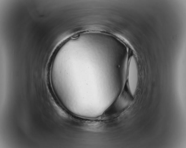 X0000085070991200703121638