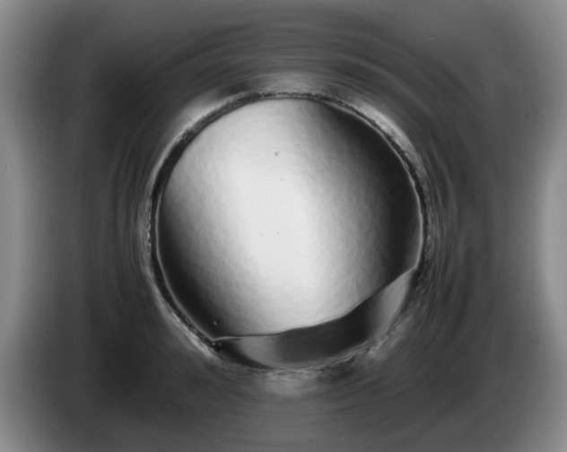 X0000085070992200703121638