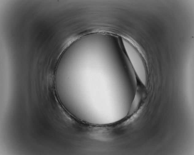 X0000085070993200703121638