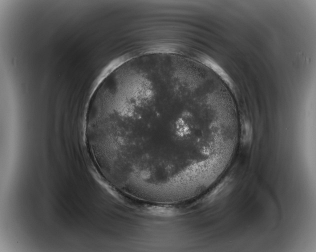 X0000085070994200703121638