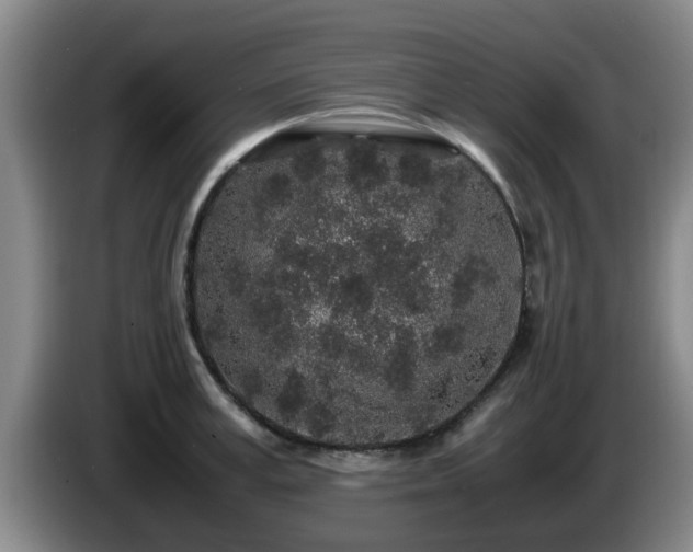 X0000085070995200703121638