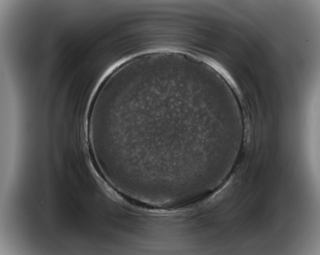 X0000085070996200703121638