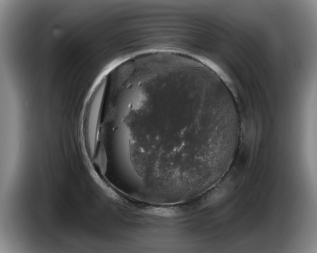 X0000085070998200703121638