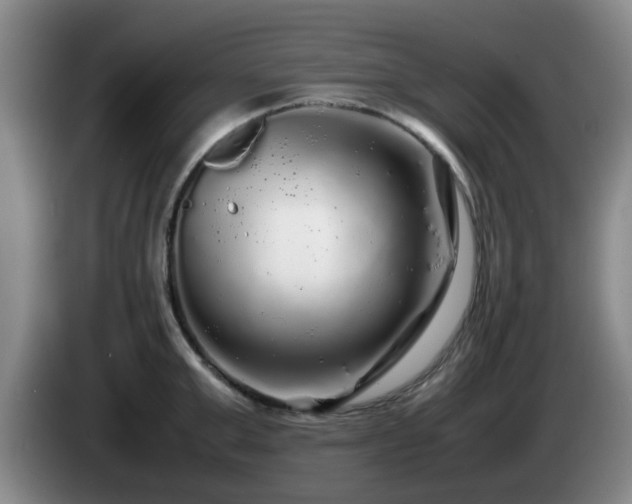 X0000085070999200703121638