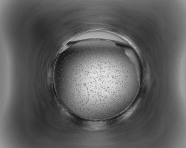 X0000085071001200703121638