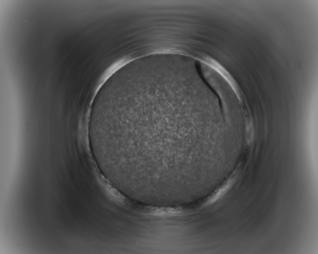 X0000085071002200703121638