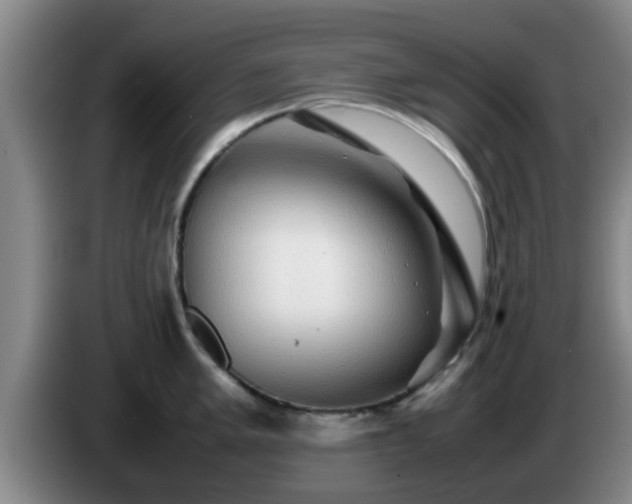 X0000085071005200703121638