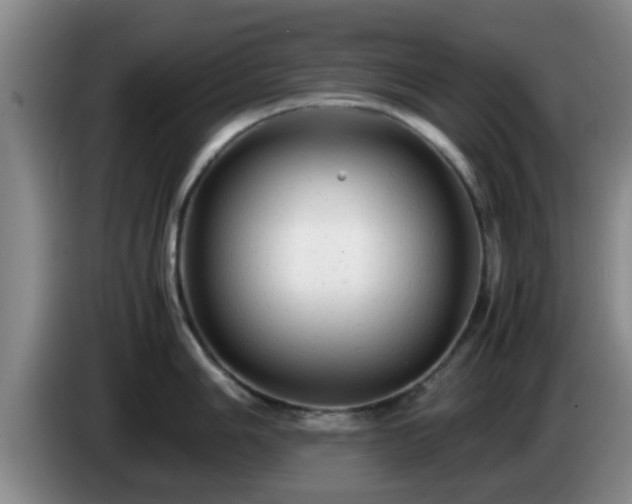 X0000085071006200703121638