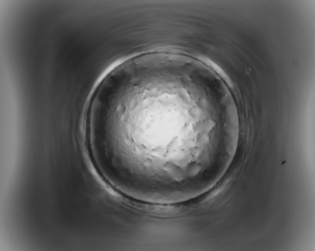 X0000085071007200703121638