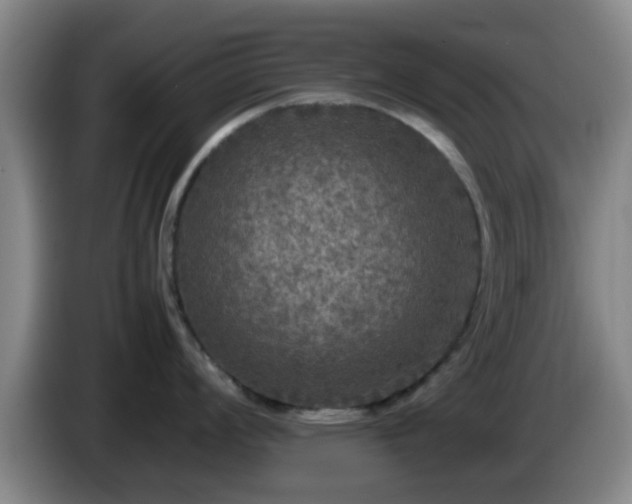 X0000085071008200703121638